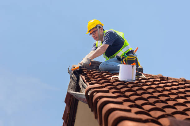 Asphalt Shingles Roofing in Northbrook, IL